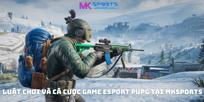 Luật chơi và cá cược game eSport PUPG tại MKsports