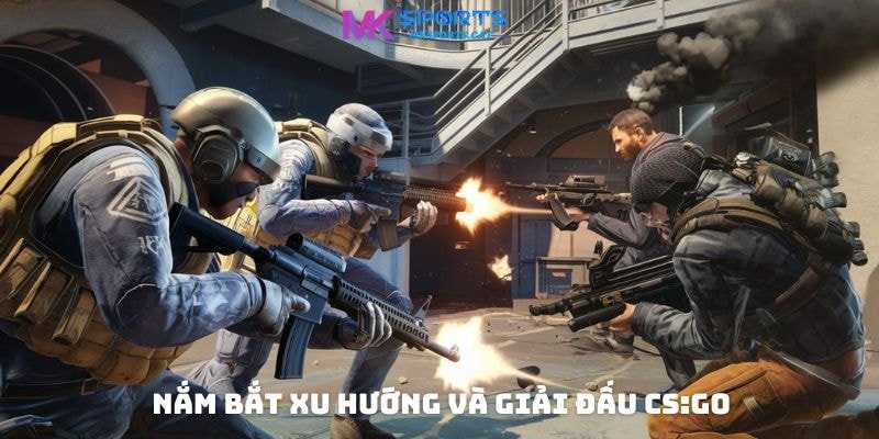 Nắm bắt xu hướng và giải đấu CS:GO